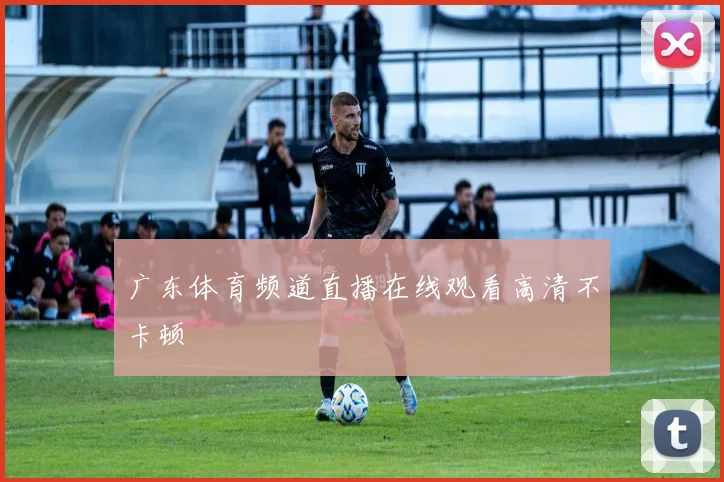 广东体育频道直播在线观看高清不卡顿