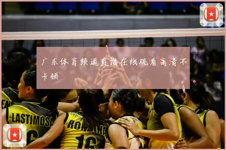 广东体育频道直播在线观看高清不卡顿